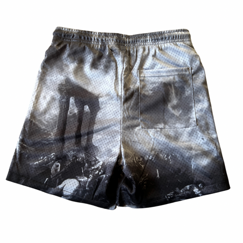 'DAVID & GOLIATH' Mesh Perfromance Shorts